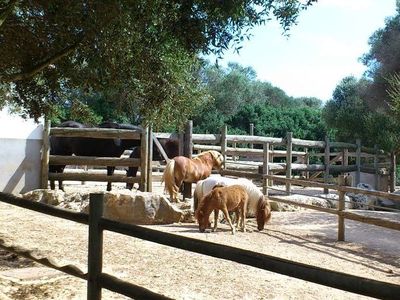 Loc de Menorca