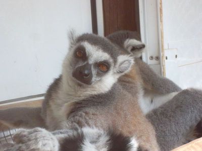 Loc de Menorca Zoo