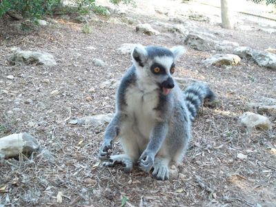 Loc de Menorca Zoo