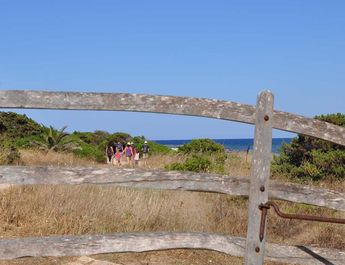 Family Walks - Things to Do