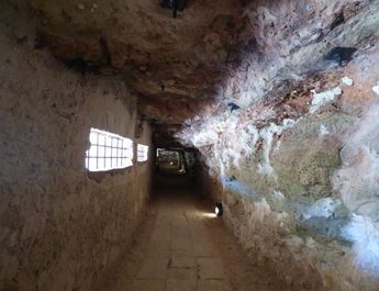 Menorca Family Visits