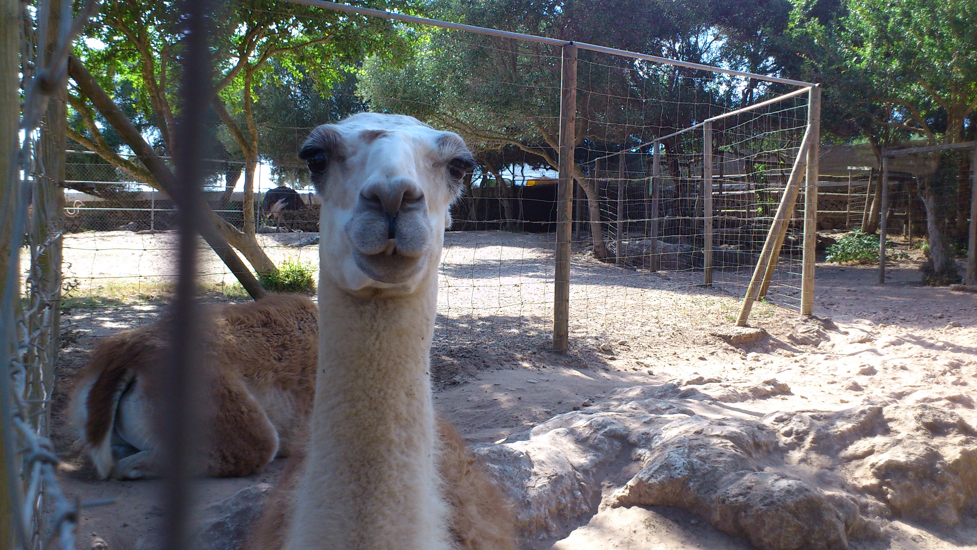 Loc de Menorca Zoo