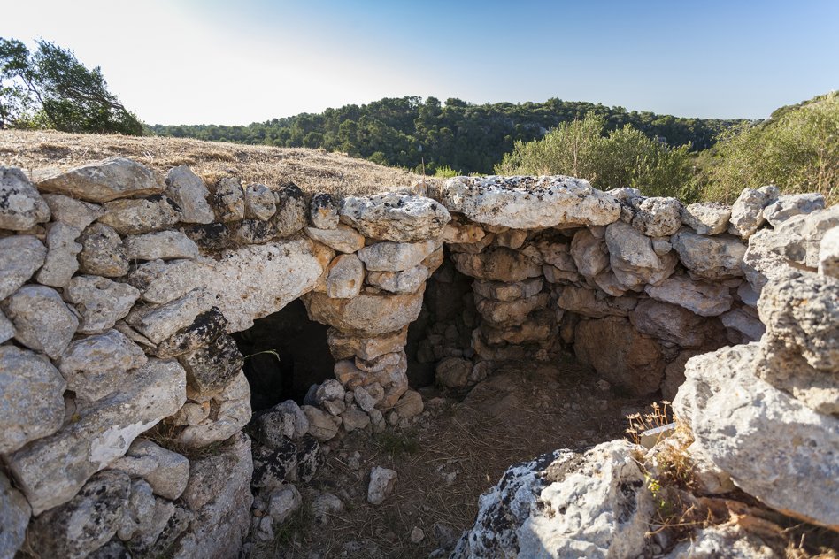 Galliner de Madona,Menorca