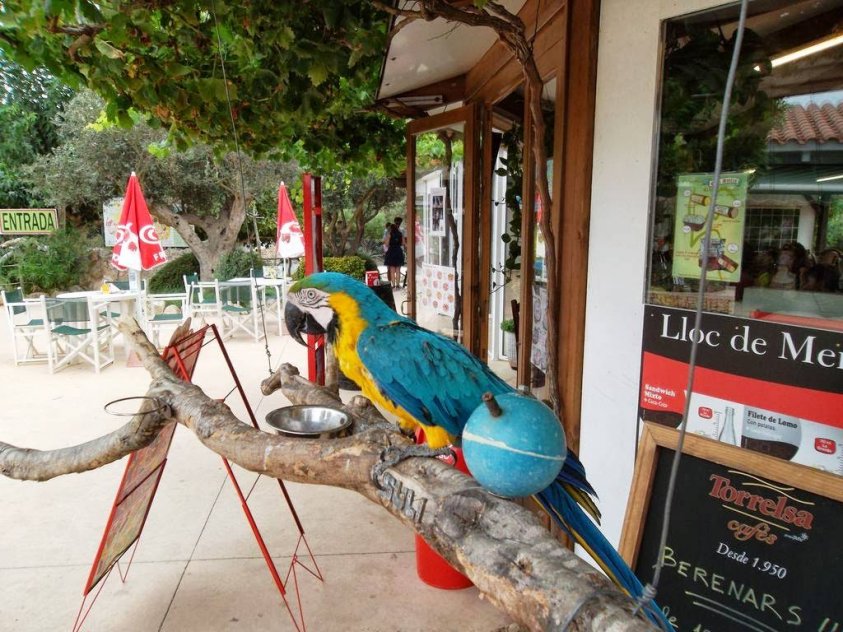 Menorca Zoo - Loc de Menorca,Menorca