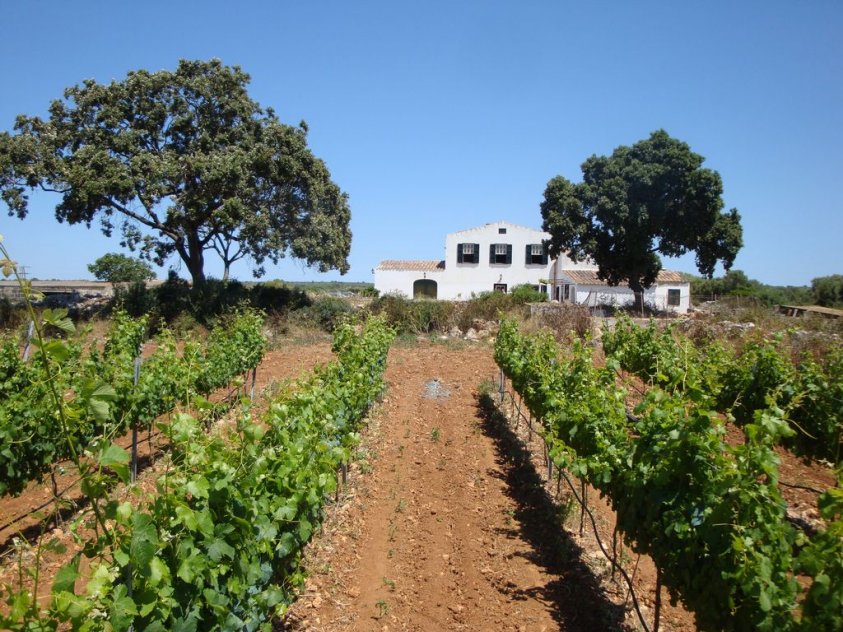 Finca Sa Marjaleta - Wine Producer,Menorca